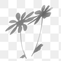 Flower shadow png element effect, transparent background