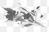 Flower shadow png element effect, transparent background