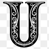 Letter U PNG in classic medieval art alphabet, transparent background