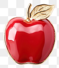 PNG Brooch of apple accessories accessory produce