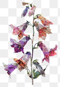 PNG Collage flower paper foxglove.