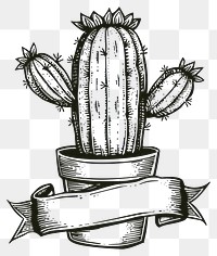 PNG  Ribbon with cactus art illustrated drawing.