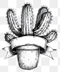PNG  Ribbon with cactus art illustrated accessories.