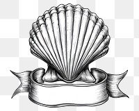 PNG  Ribbon with shell art invertebrate illustrated