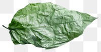 PNG Leaf in style of crumpled tobacco plant.