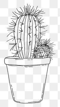 PNG Hand drawn of cactus drawing sketch cartoon.