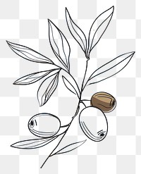 PNG Hand drawn of olive drawing sketch cartoon.