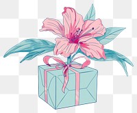 PNG Drawing open gift with flower plant art inflorescence.