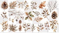 PNG cozy winter botanical element set, transparent background