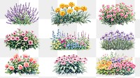 PNG flower garden  element set, transparent background