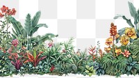 PNG Lush tropical botanical garden illustration