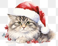 PNG Christmas cat mammal animal kitten. 