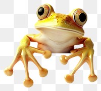 PNG Yellow frog on white background