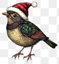 PNG A bird wearing christmas hat illustration design art.