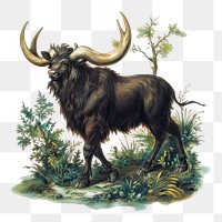 PNG A Mythology animal background wildlife buffalo.