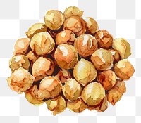 PNG An isolated fresh chickpeas illustration watercolor food.