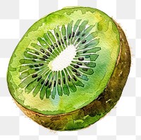 PNG An isolated fresh kiwi illustration watercolor produce.