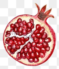 PNG An isolated fresh slice pomegranate illustration watercolor vibrant.