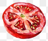 PNG An isolated fresh finely chopped tomato food illustration watercolor.