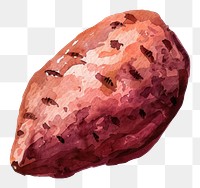 PNG An isolated fresh sweet potato food illustration watercolor.