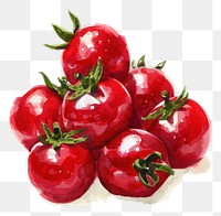 PNG An isolated fresh cherry tomatoes food illustration watercolor.