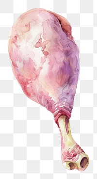 PNG An isolated raw chicken leg quarter with back bone illustration watercolor food.