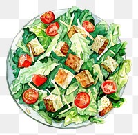 PNG An isolated ceasar salad food watercolor vegetables.