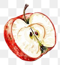 PNG An isolated fresh slice apple food illustration watercolor.