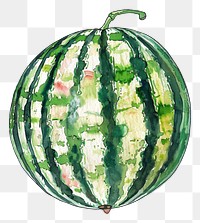 PNG An isolated fresh watermelon illustration watercolor vibrant.