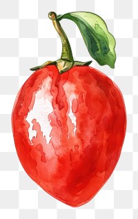 PNG An isolated fresh goji berry illustration watercolor vegetable.