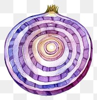 PNG An isolated fresh slice onion food illustration watercolor.