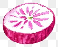 PNG An isolated fresh slice radish food illustration watercolor.