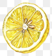 PNG An isolated fresh slice lemon illustration watercolor vibrant.