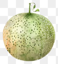 PNG An isolated fresh cantaloupe illustration watercolor fruit.