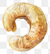 PNG An isolated cashew nut food illustration watercolor.