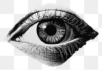 PNG An isolated black and white open eye illustration art illustrated.