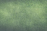 PNG Green grass texture background green nature vegetation.