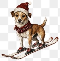 PNG A dog wearing christmas hat skiing illustration clothing skis.