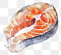 PNG An isolated raw salmon steak illustration watercolor vibrant.