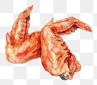 PNG An isolated raw chicken wings food illustration watercolor.