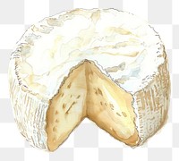 PNG An isolated raw buratta cheese food illustration watercolor.