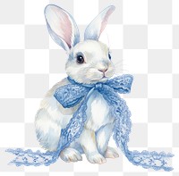 PNG A rabbit art illustration animal.