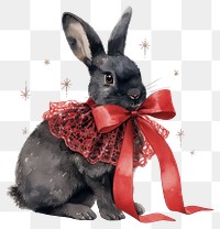 PNG Black rabbit illustration animal lace.