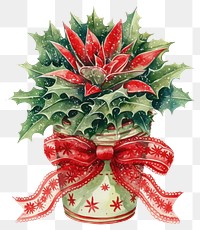 PNG Indoor plant illustration watercolor christmas.