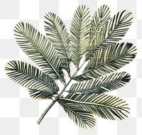 PNG Pine leaf retro paper collage illustration nature design.