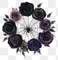 PNG Spider web roses art illustration.