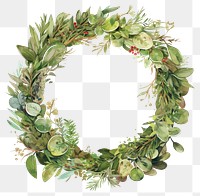 PNG Evergreen wreath watercolor style decorative.