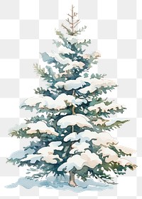 PNG Snow-covered Christmas tree snow-covered illustration watercolor.