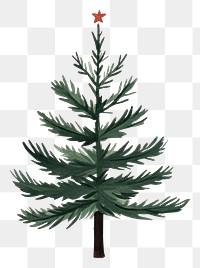 PNG Pine tree christmas illustration holiday.