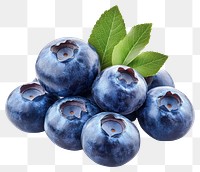 PNG Blueberries blueberries blueberry fruit.